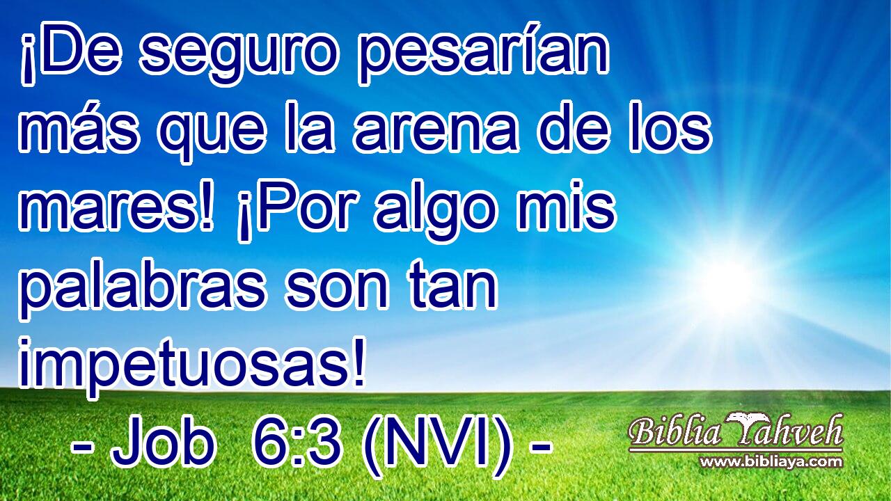  ¡De seguro pesarían más que la arena de los mares! ¡Por algo mis palabras son tan impetuosas! 