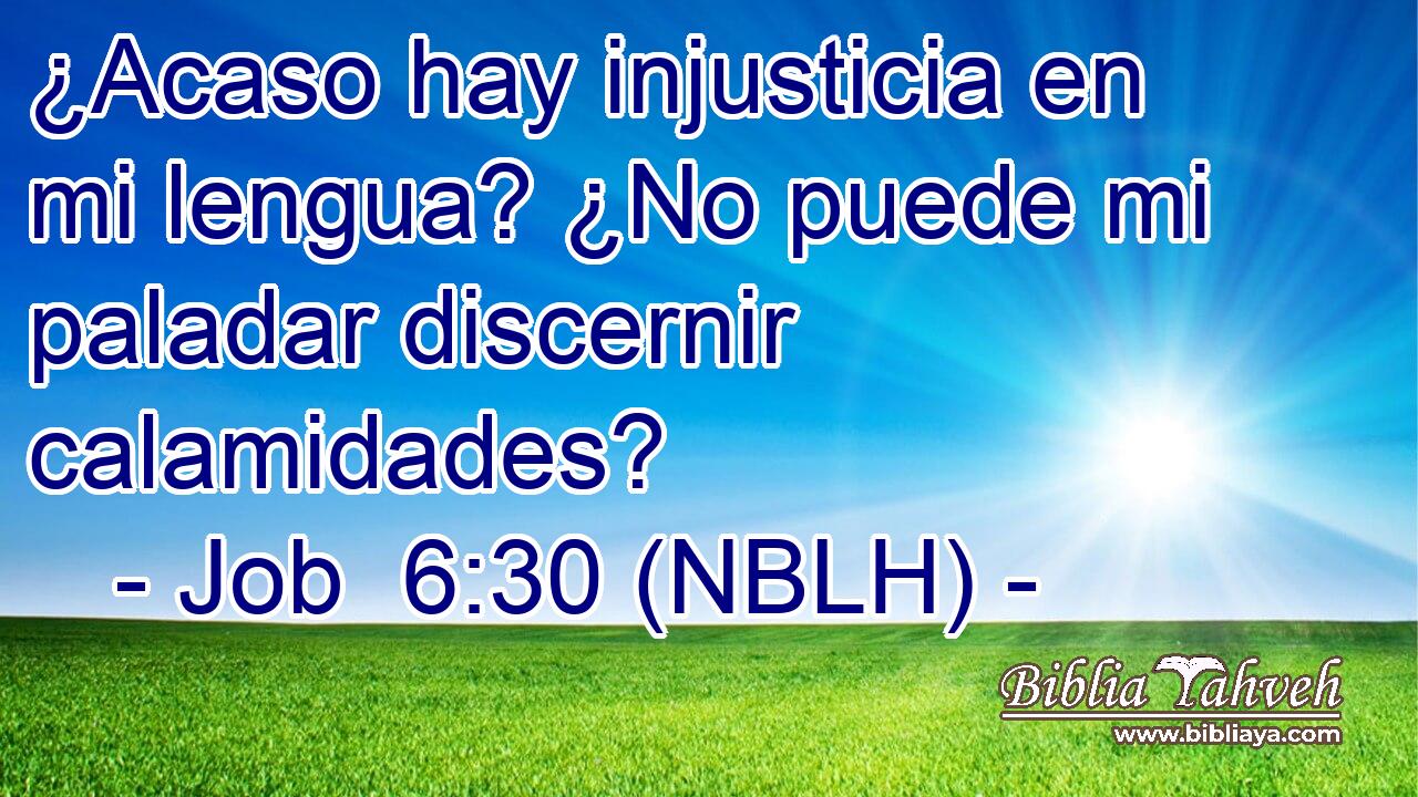  ¿Acaso hay injusticia en mi lengua? ¿No puede mi paladar discernir calamidades? 