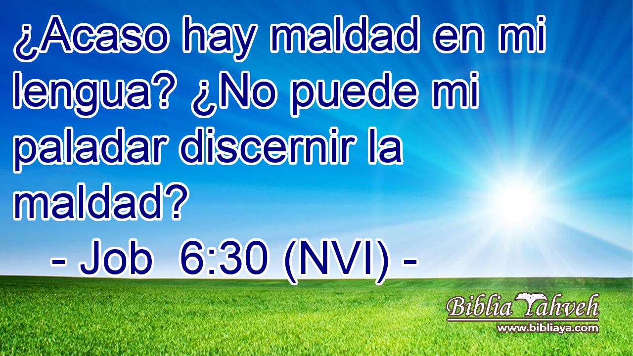  ¿Acaso hay maldad en mi lengua? ¿No puede mi paladar discernir la maldad? 