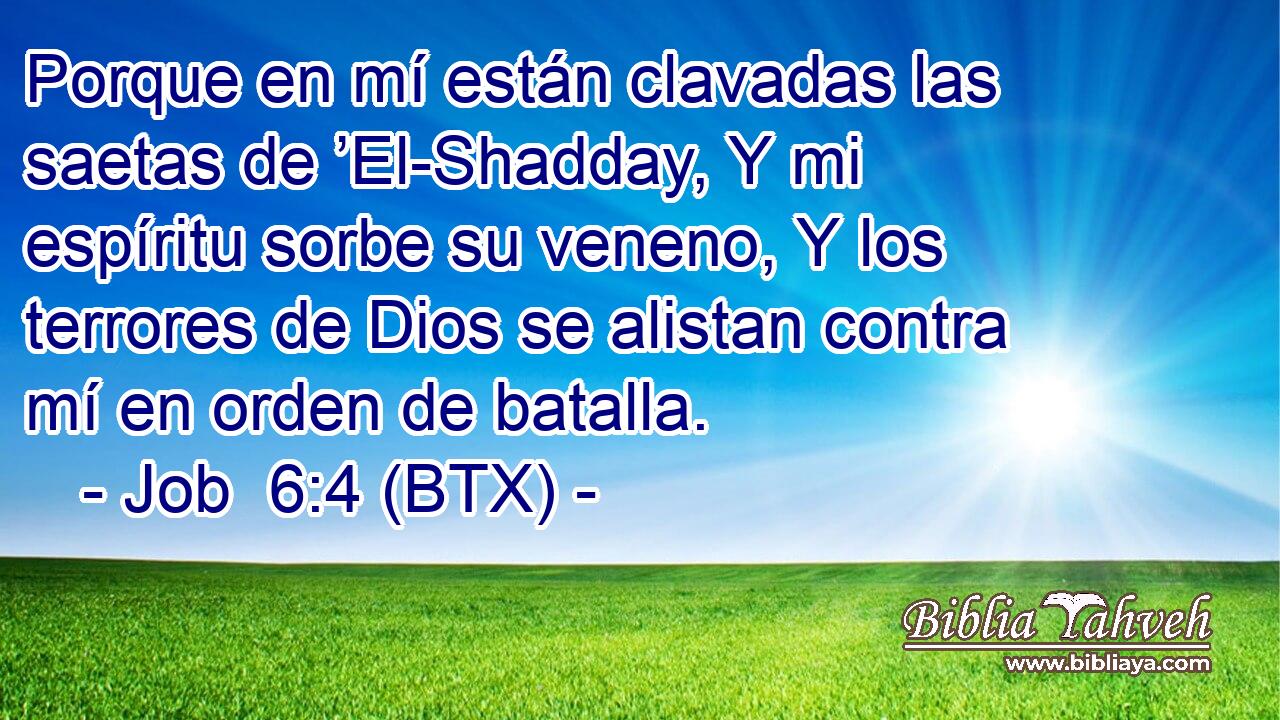 Porque en mí están clavadas las saetas de ’El-Shadday, Y mi espíritu sorbe su veneno, Y los terrores de Dios se alistan contra mí en orden de batalla.