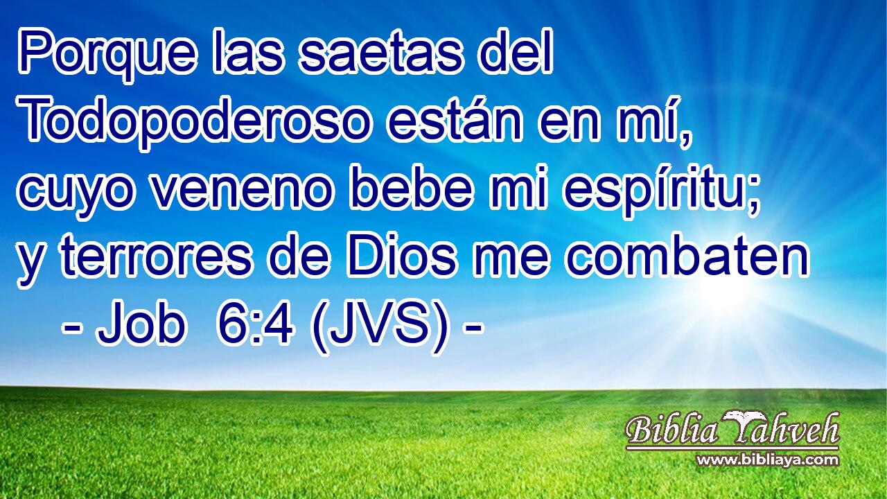 Porque las saetas del Todopoderoso están en mí, cuyo veneno bebe mi espíritu; y terrores de Dios me combaten