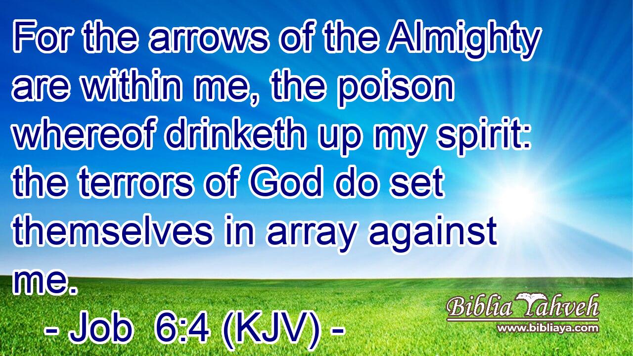 For the arrows of the Almighty are within me, the poison whereof drinketh up my spirit: the terrors of God do set themselves in array against me.