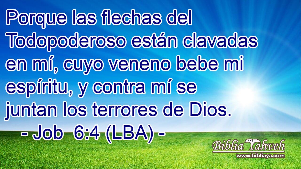Porque las flechas del Todopoderoso están clavadas en mí, cuyo veneno bebe mi espíritu, y contra mí se juntan los terrores de Dios.
