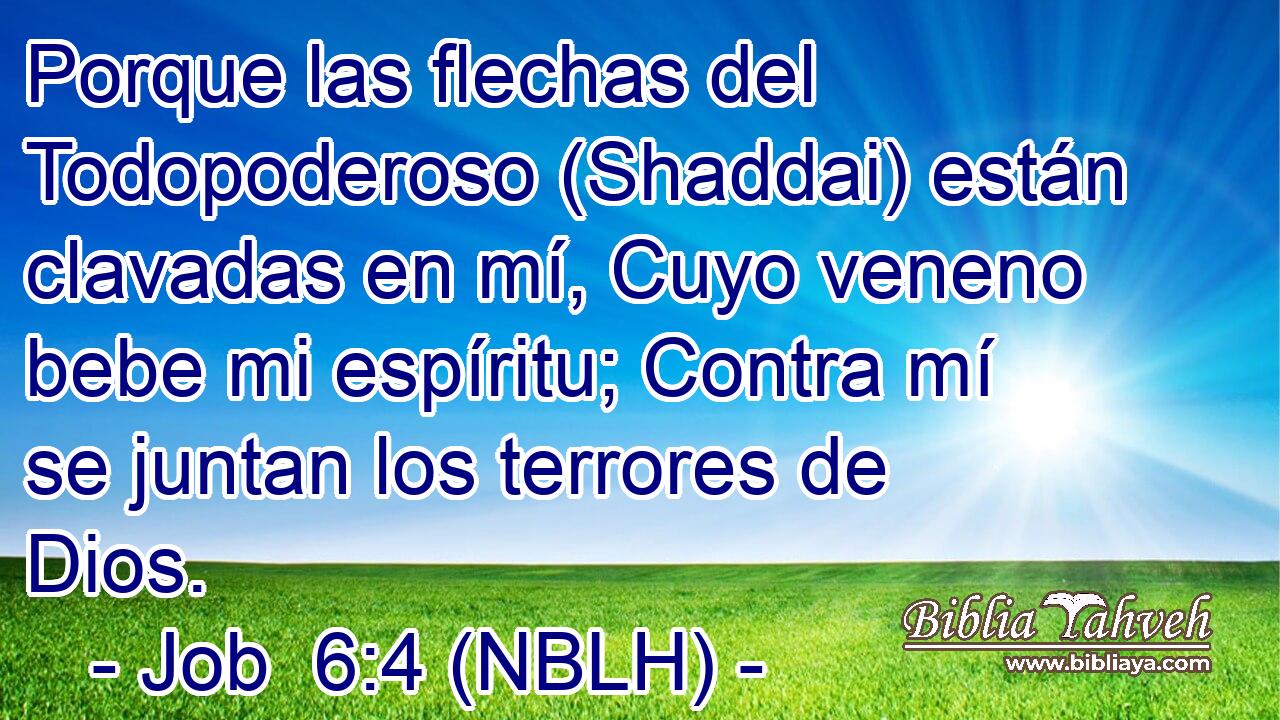  Porque las flechas del Todopoderoso (Shaddai) están clavadas en mí, Cuyo veneno bebe mi espíritu; Contra mí se juntan los terrores de Dios. 