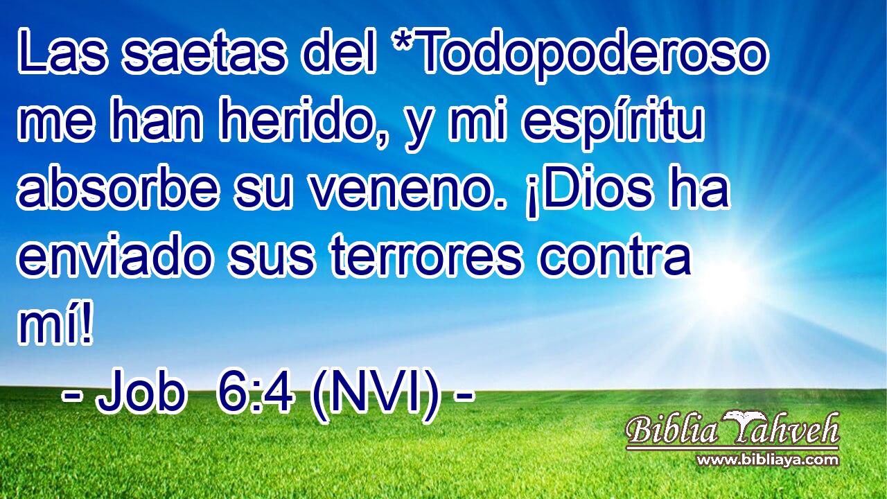  Las saetas del *Todopoderoso me han herido, y mi espíritu absorbe su veneno. ¡Dios ha enviado sus terrores contra mí! 