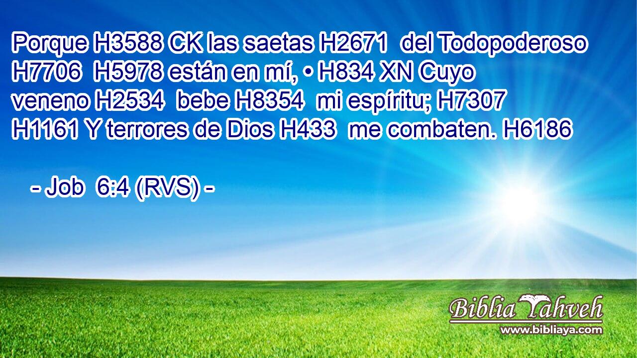 Porque H3588 CK las saetas H2671  del Todopoderoso H7706  H5978 están en mí, • H834 XN Cuyo veneno H2534  bebe H8354  mi espíritu; H7307  H1161 Y terrores de Dios H433  me combaten. H6186  