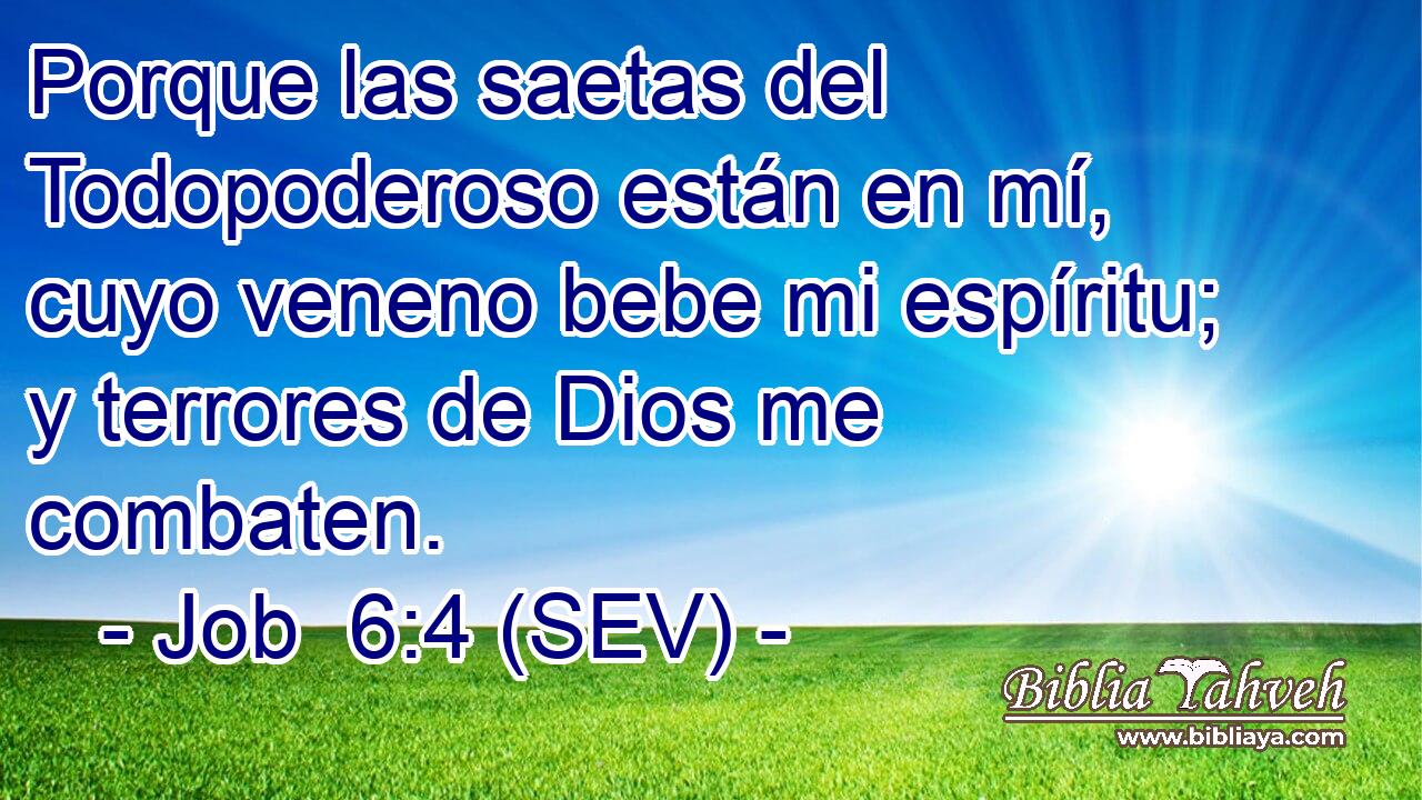 Porque las saetas del Todopoderoso están en mí, cuyo veneno bebe mi espíritu; y terrores de Dios me combaten.