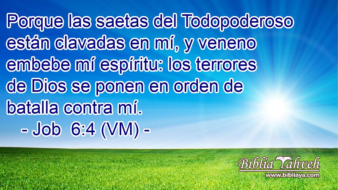  Porque las saetas del Todopoderoso están clavadas en mí, y veneno embebe mí espíritu: los terrores de Dios se ponen en orden de batalla contra mí. 