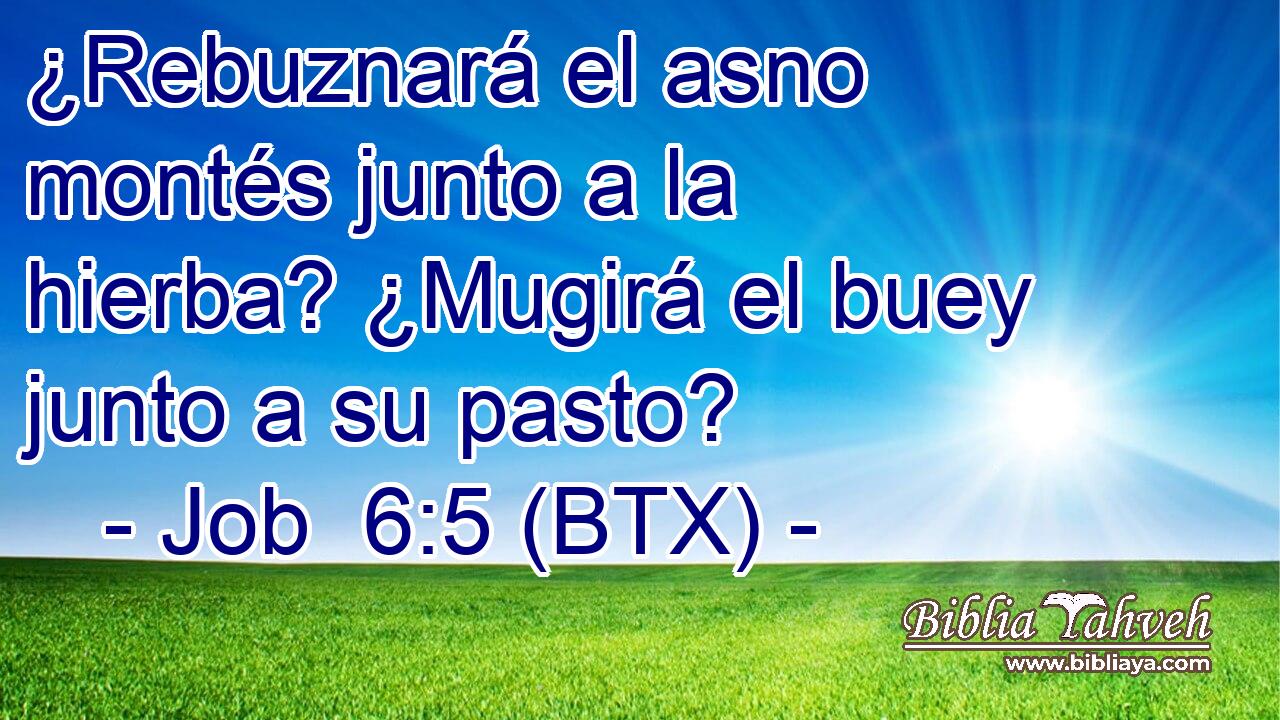 ¿Rebuznará el asno montés junto a la hierba? ¿Mugirá el buey junto a su pasto?