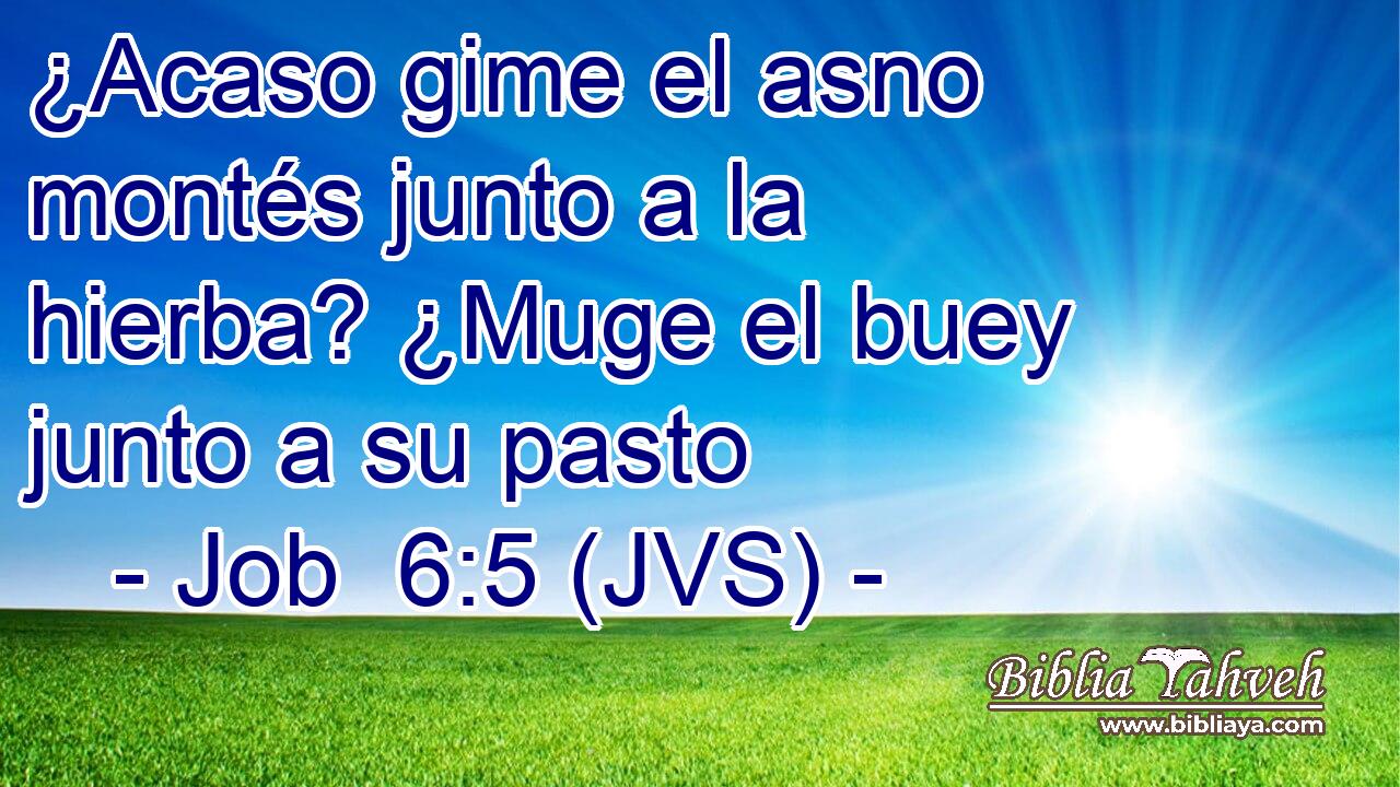 ¿Acaso gime el asno montés junto a la hierba? ¿Muge el buey junto a su pasto