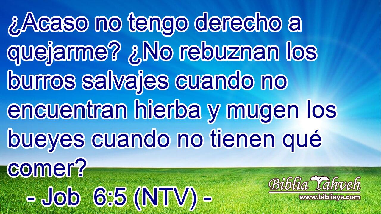 ¿Acaso no tengo derecho a quejarme? ¿No rebuznan los burros salvajes cuando no encuentran hierba y mugen los bueyes cuando no tienen qué comer?