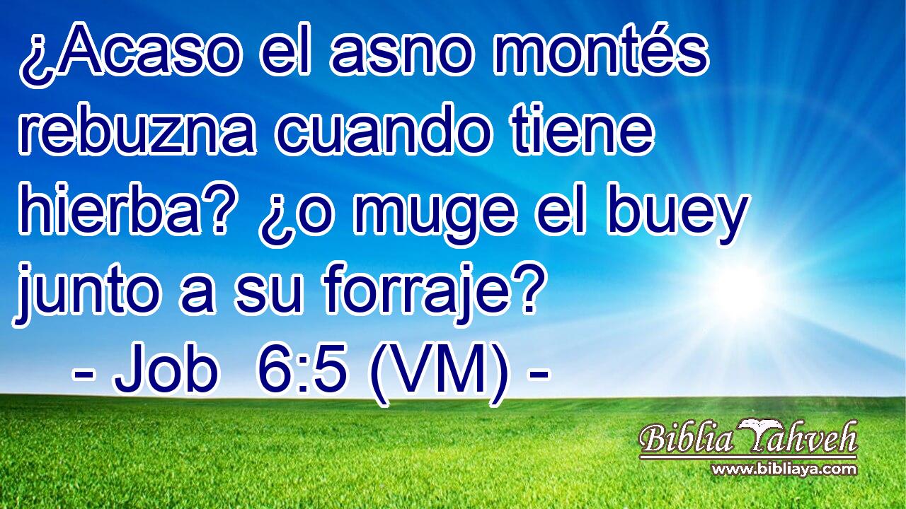  ¿Acaso el asno montés rebuzna cuando tiene hierba? ¿o muge el buey junto a su forraje? 