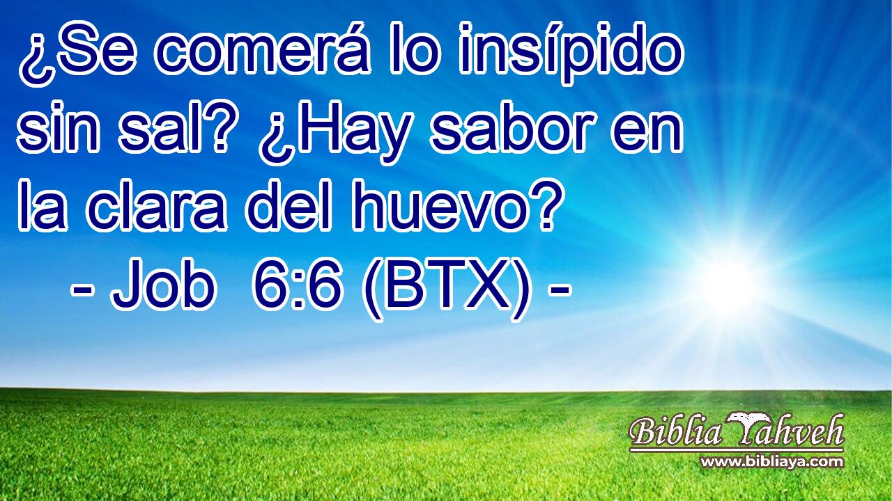 ¿Se comerá lo insípido sin sal? ¿Hay sabor en la clara del huevo?