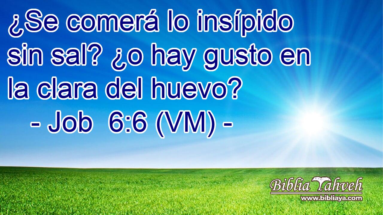  ¿Se comerá lo insípido sin sal? ¿o hay gusto en la clara del huevo? 