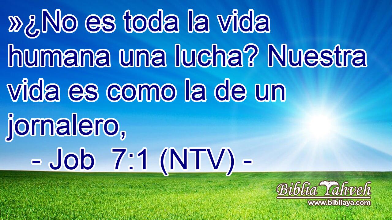»¿No es toda la vida humana una lucha? Nuestra vida es como la de un jornalero,