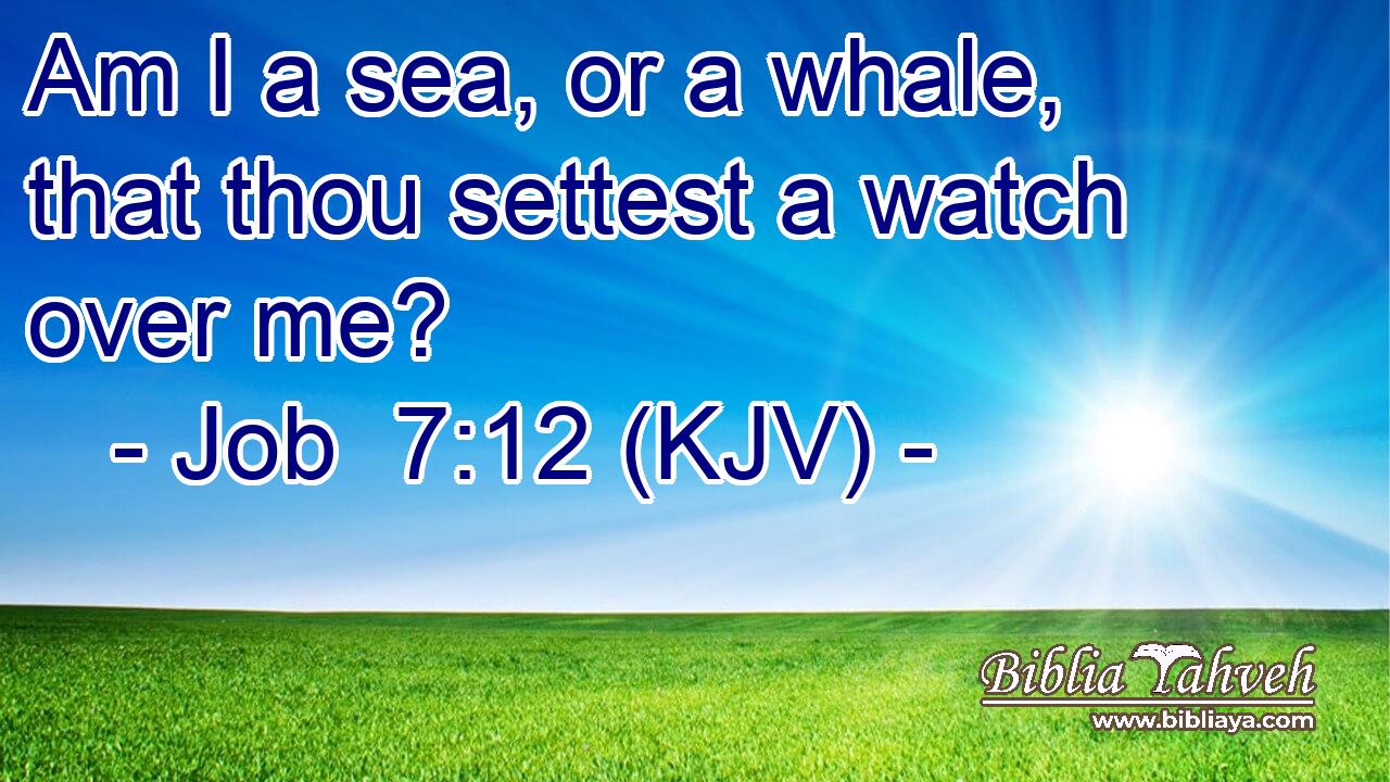 Am I a sea, or a whale, that thou settest a watch over me?