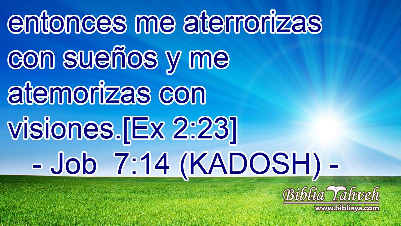  entonces me aterrorizas con sueños y me atemorizas con visiones.[Ex 2:23] 