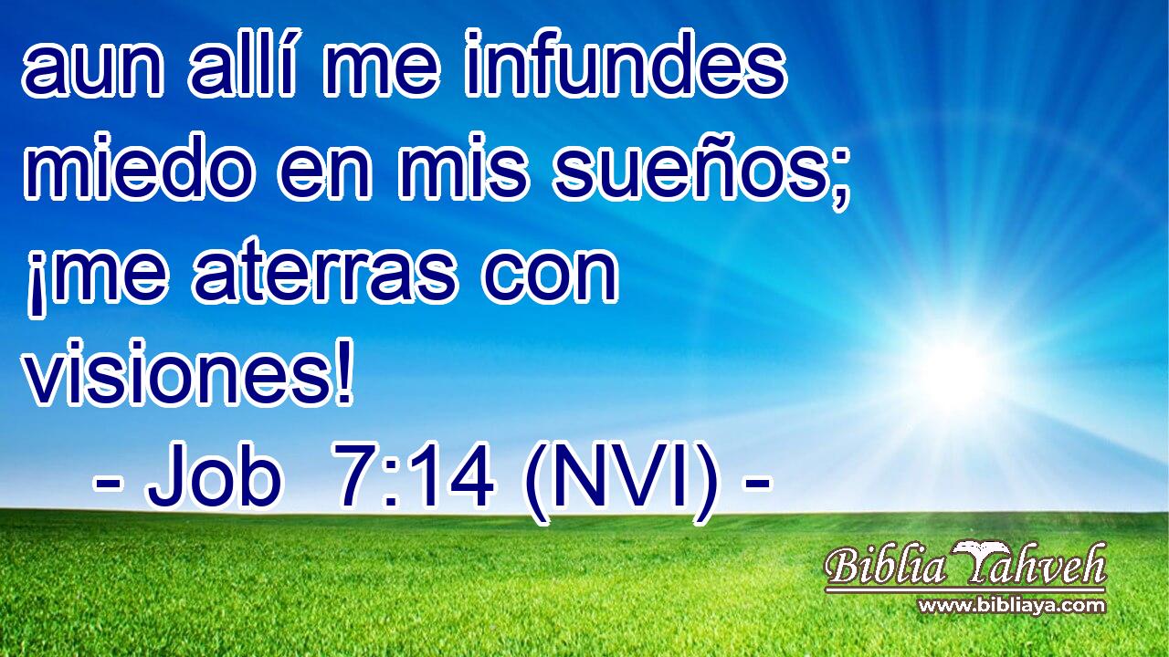  aun allí me infundes miedo en mis sueños; ¡me aterras con visiones! 