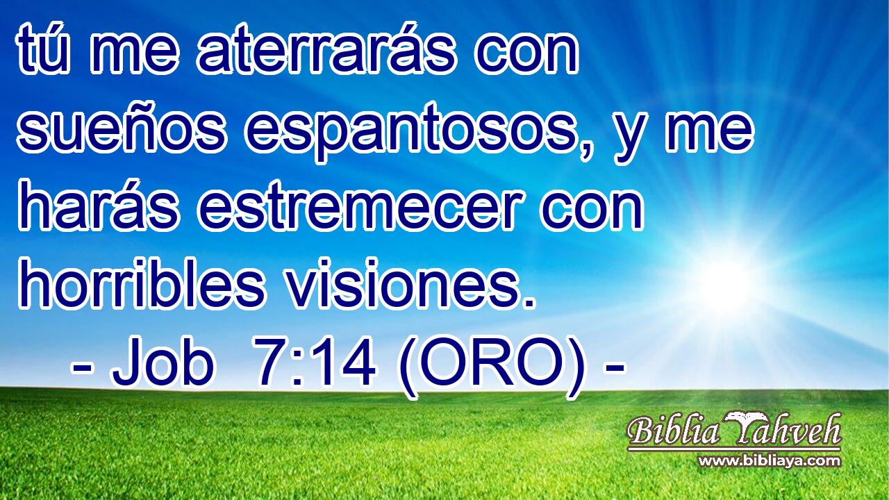  tú me aterrarás con sueños espantosos, y me harás estremecer con horribles visiones. 