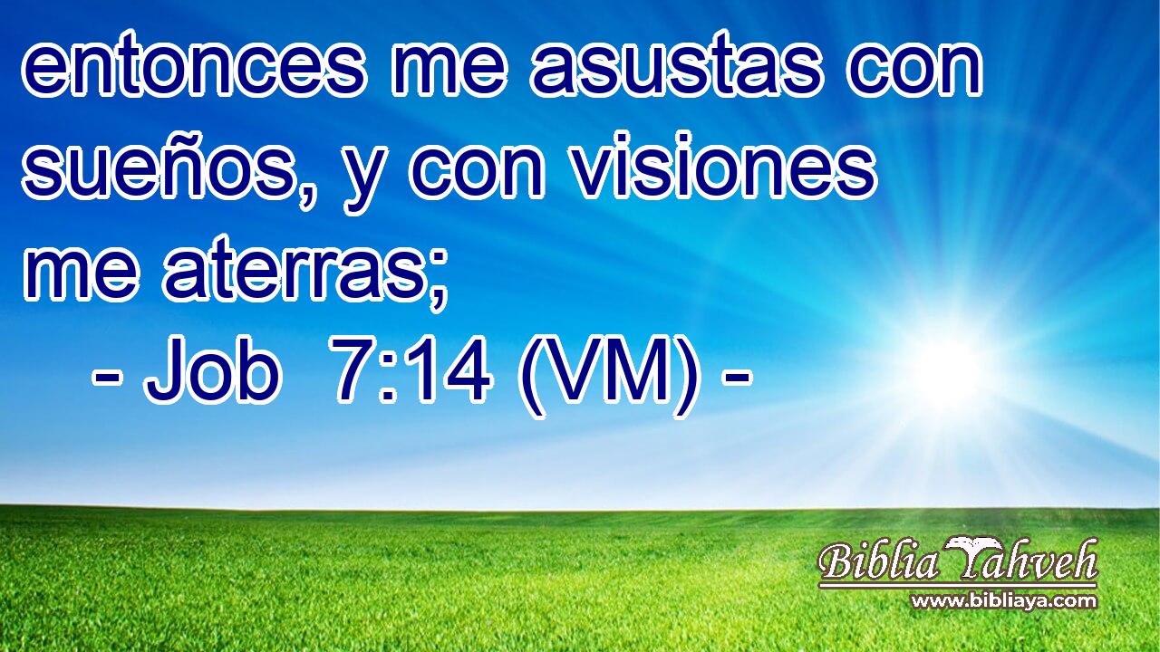  entonces me asustas con sueños, y con visiones me aterras; 