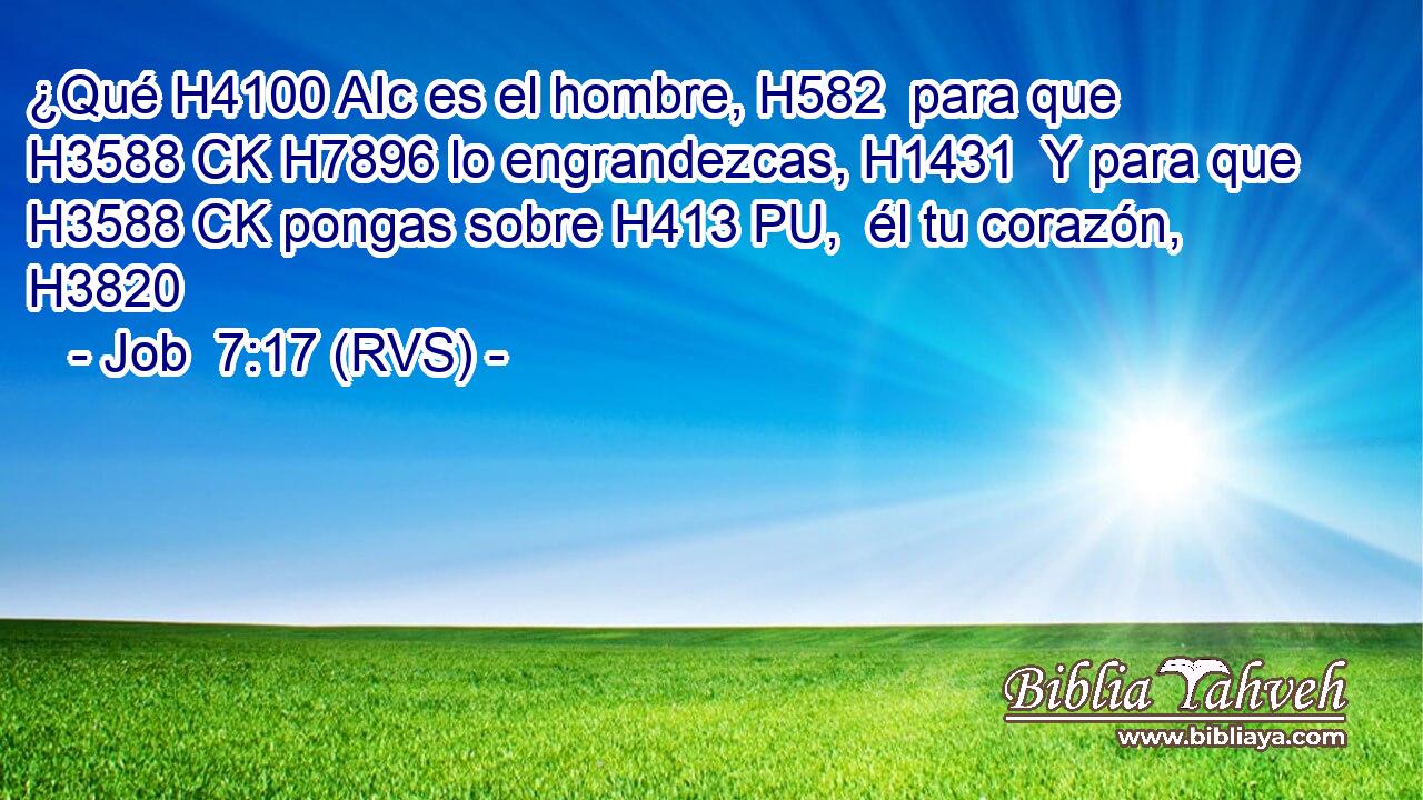 ¿Qué H4100 AIc es el hombre, H582  para que H3588 CK H7896 lo engrandezcas, H1431  Y para que H3588 CK pongas sobre H413 PU,  él tu corazón, H3820  