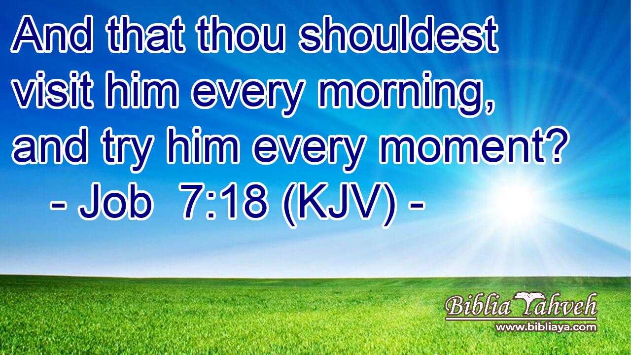 And that thou shouldest visit him every morning, and try him every moment?