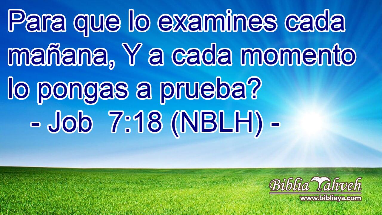  Para que lo examines cada mañana, Y a cada momento lo pongas a prueba? 