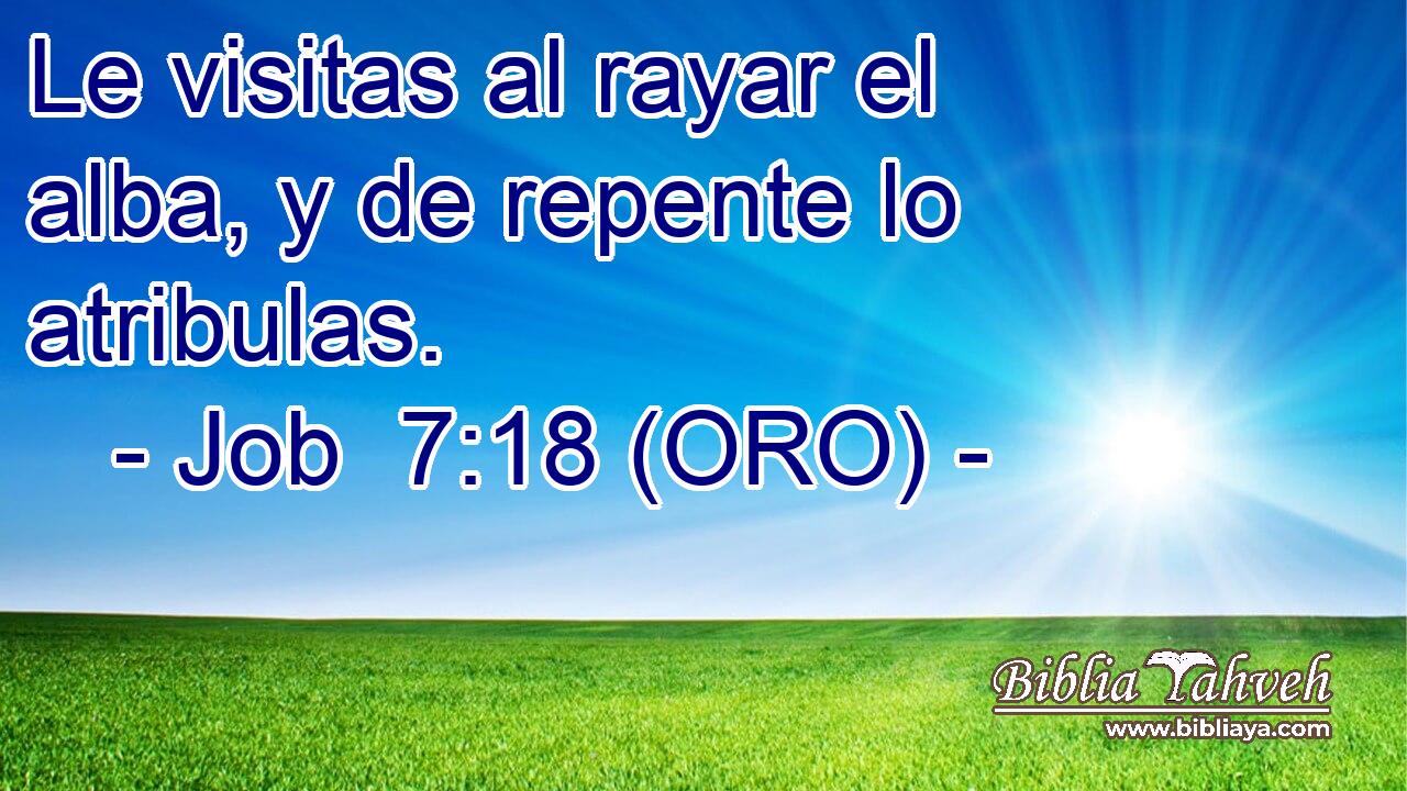  Le visitas al rayar el alba, y de repente lo atribulas. 