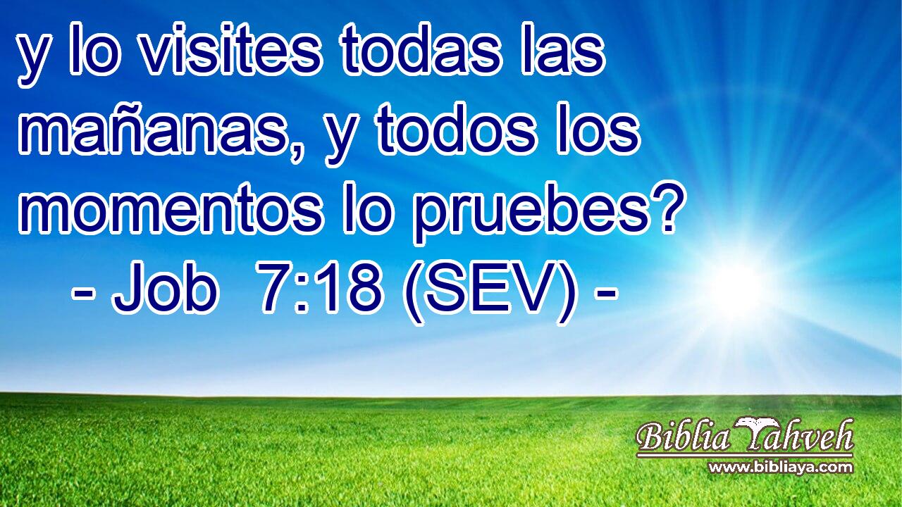 y lo visites todas las mañanas, y todos los momentos lo pruebes?
