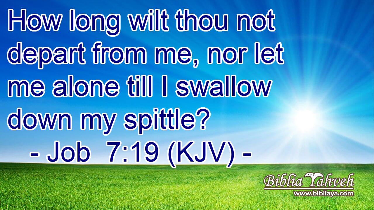 How long wilt thou not depart from me, nor let me alone till I swallow down my spittle?