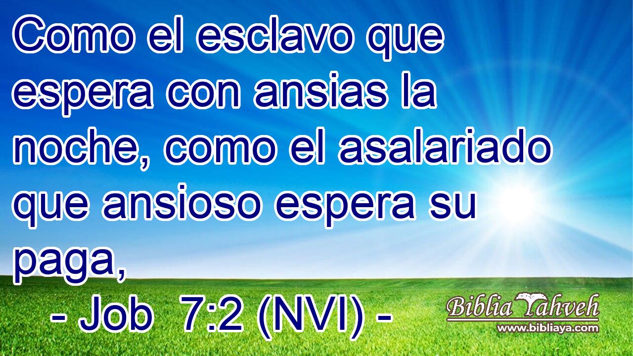  Como el esclavo que espera con ansias la noche, como el asalariado que ansioso espera su paga, 