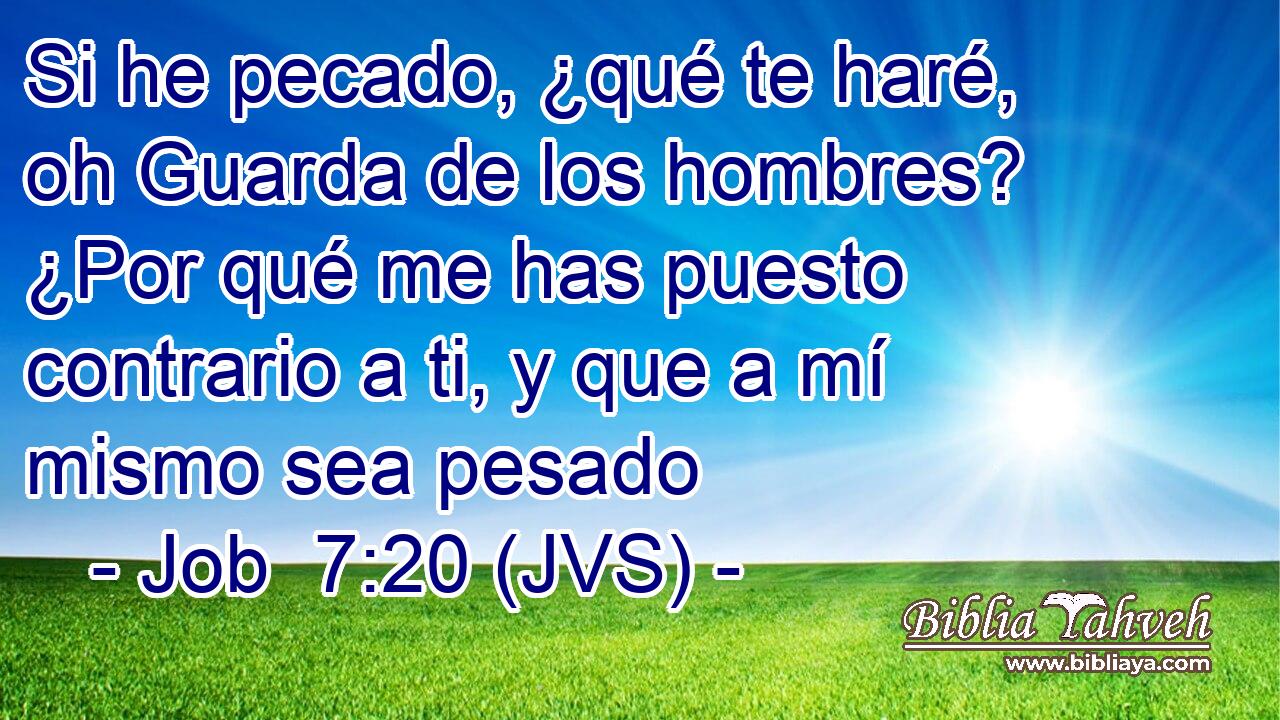Si he pecado, ¿qué te haré, oh Guarda de los hombres? ¿Por qué me has puesto contrario a ti, y que a mí mismo sea pesado