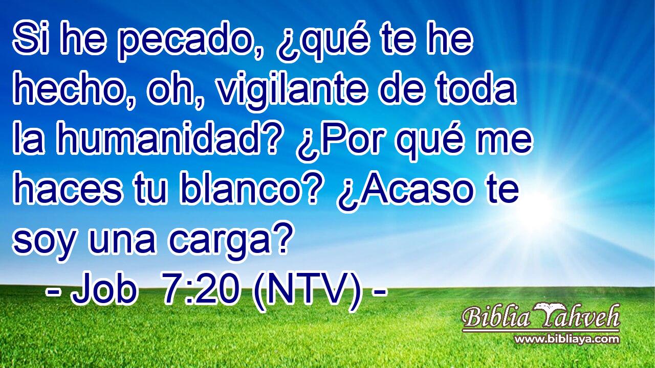 Si he pecado, ¿qué te he hecho, oh, vigilante de toda la humanidad? ¿Por qué me haces tu blanco? ¿Acaso te soy una carga?