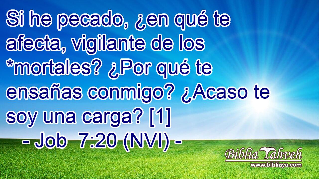  Si he pecado, ¿en qué te afecta, vigilante de los *mortales? ¿Por qué te ensañas conmigo? ¿Acaso te soy una carga? [1] 