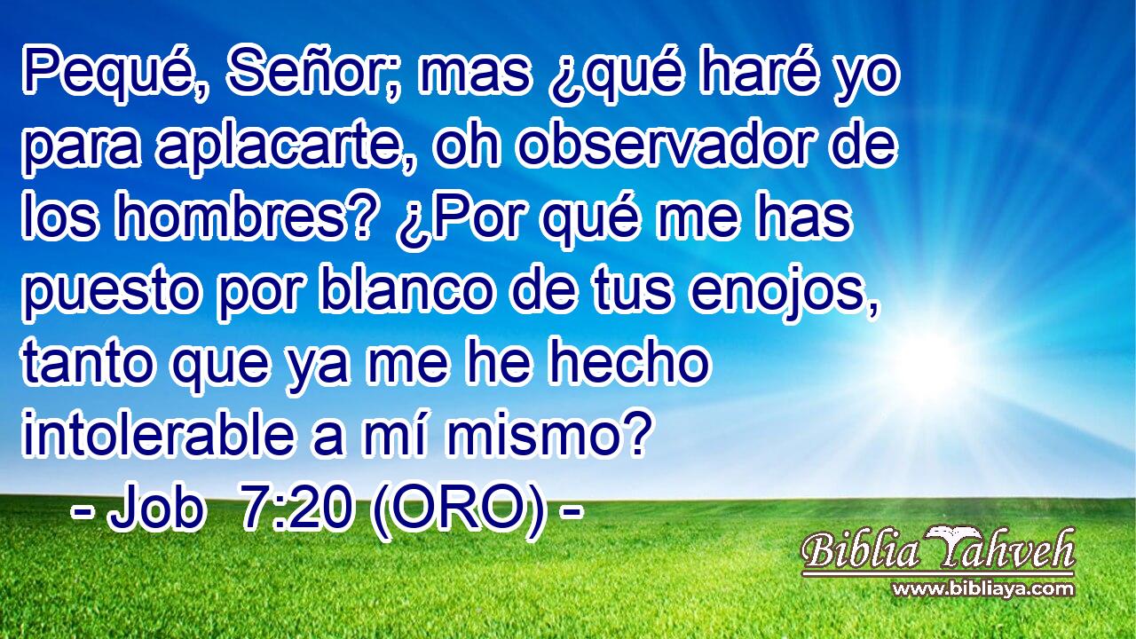  Pequé, Señor; mas ¿qué haré yo para aplacarte, oh observador de los hombres? ¿Por qué me has puesto por blanco de tus enojos, tanto que ya me he hecho intolerable a mí mismo? 