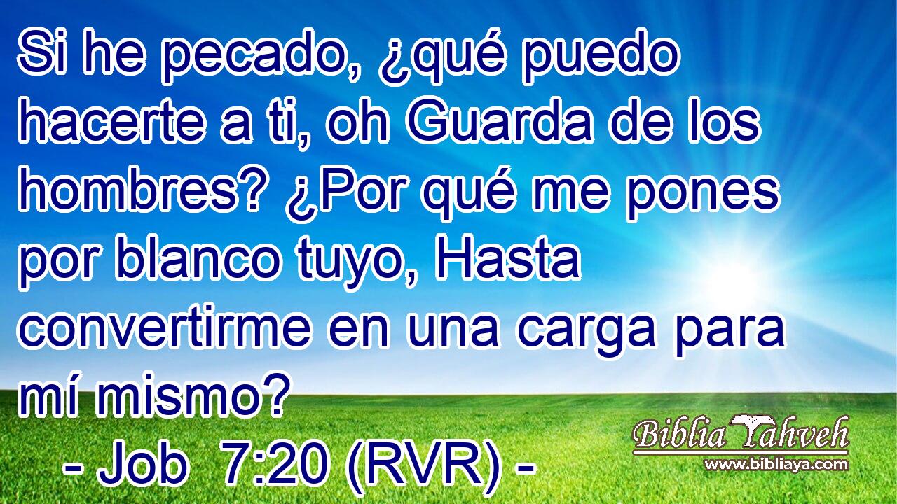 Si he pecado, ¿qué puedo hacerte a ti, oh Guarda de los hombres? ¿Por qué me pones por blanco tuyo, Hasta convertirme en una carga para mí mismo?
