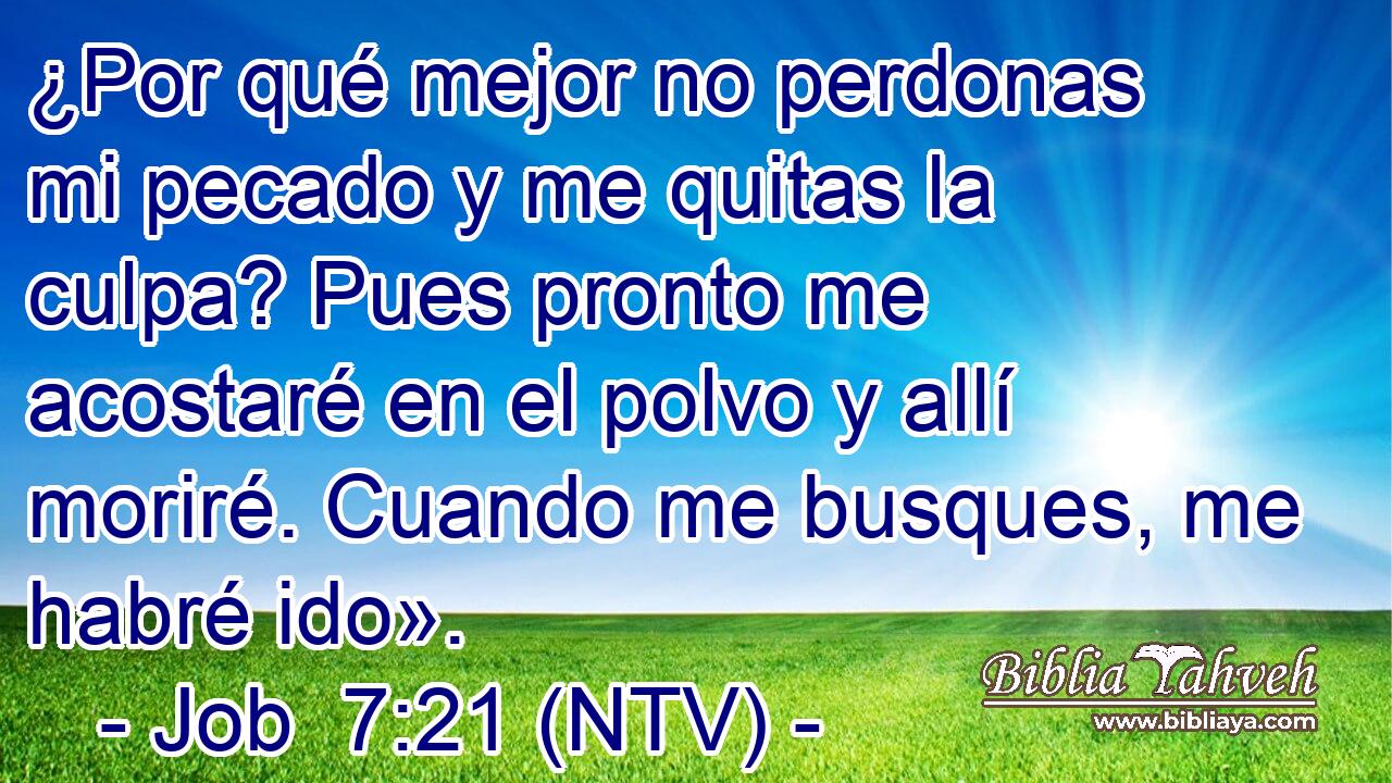 ¿Por qué mejor no perdonas mi pecado y me quitas la culpa? Pues pronto me acostaré en el polvo y allí moriré. Cuando me busques, me habré ido».
