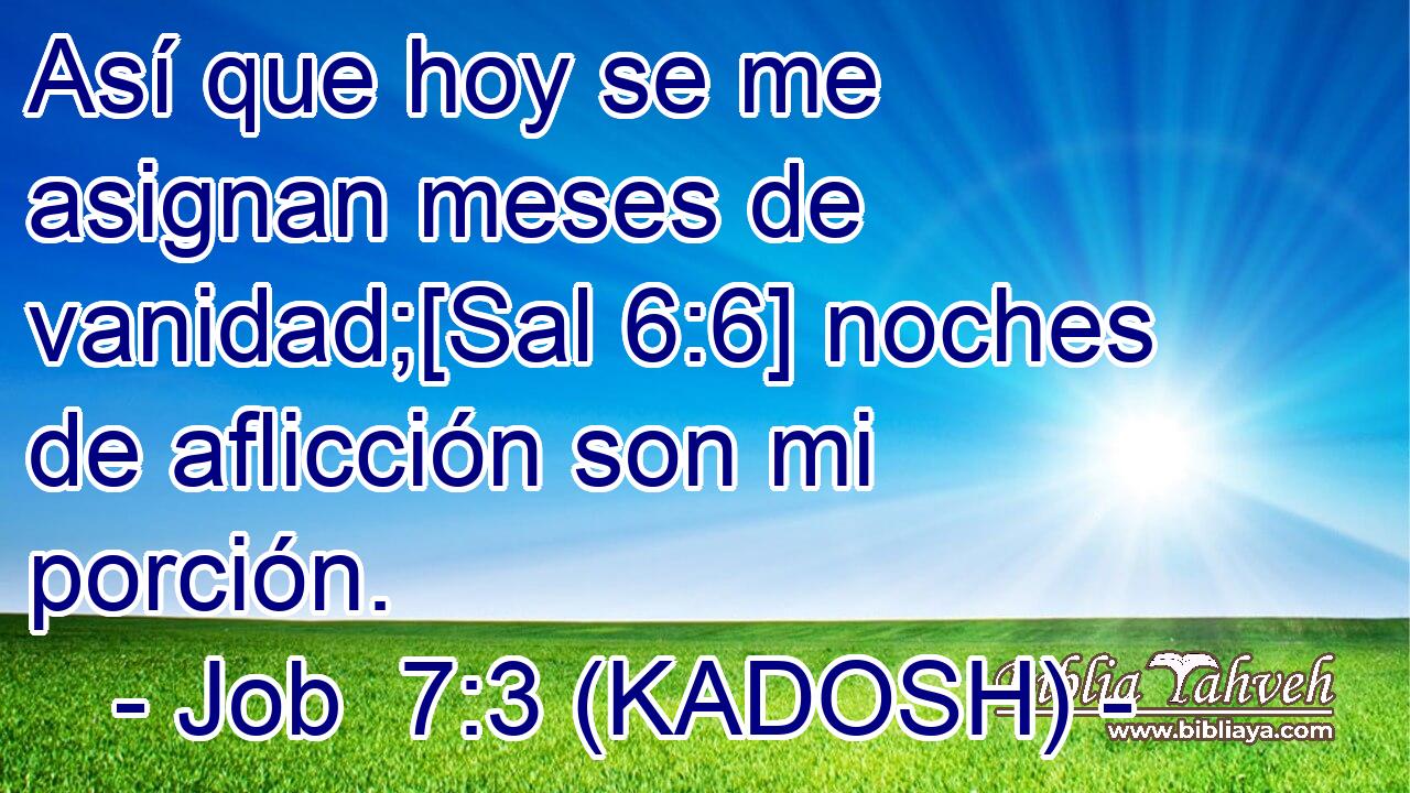  Así que hoy se me asignan meses de vanidad;[Sal 6:6] noches de aflicción son mi porción. 
