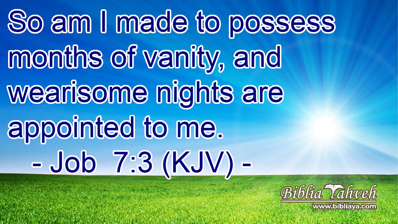 So am I made to possess months of vanity, and wearisome nights are appointed to me.
