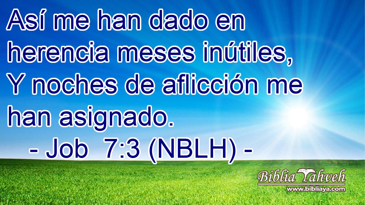  Así me han dado en herencia meses inútiles, Y noches de aflicción me han asignado. 