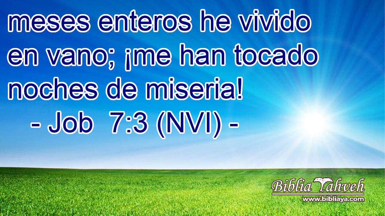  meses enteros he vivido en vano; ¡me han tocado noches de miseria! 