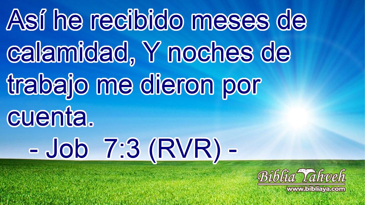 Así he recibido meses de calamidad, Y noches de trabajo me dieron por cuenta.