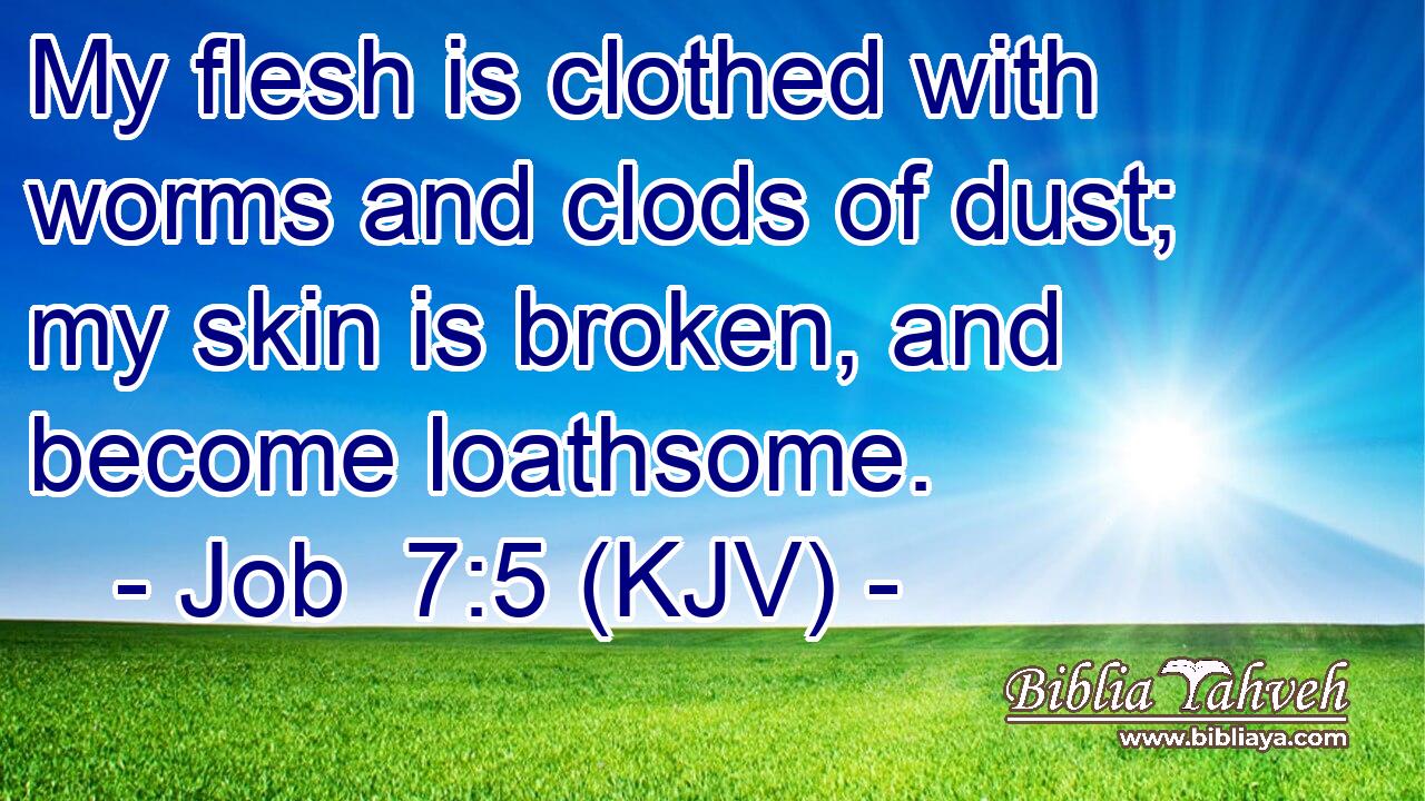 My flesh is clothed with worms and clods of dust; my skin is broken, and become loathsome.