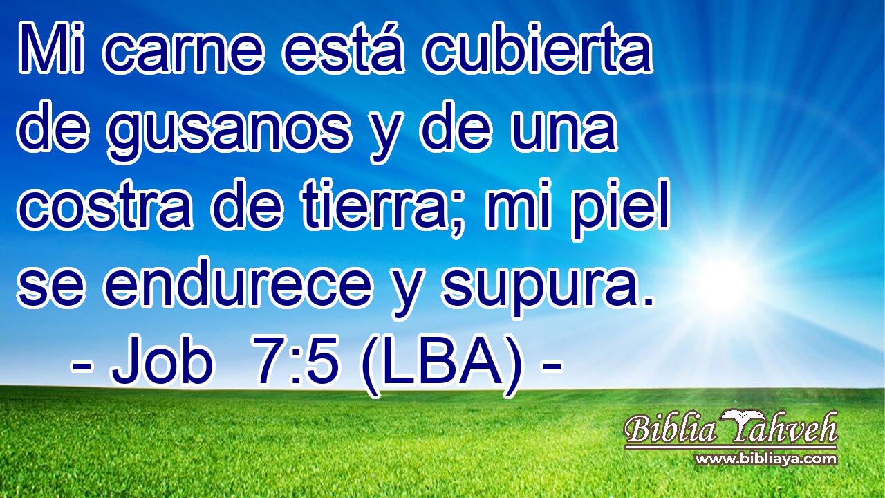 Mi carne está cubierta de gusanos y de una costra de tierra; mi piel se endurece y supura.