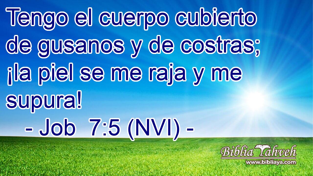  Tengo el cuerpo cubierto de gusanos y de costras; ¡la piel se me raja y me supura! 