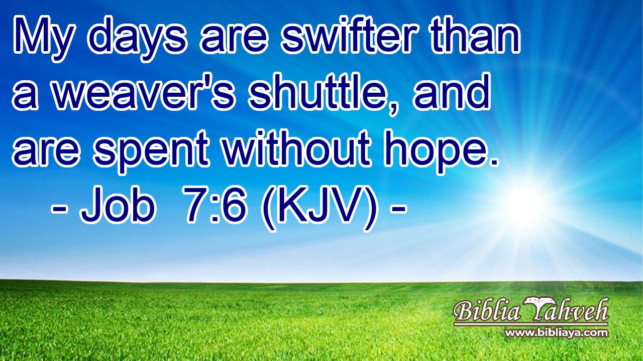 My days are swifter than a weaver's shuttle, and are spent without hope.