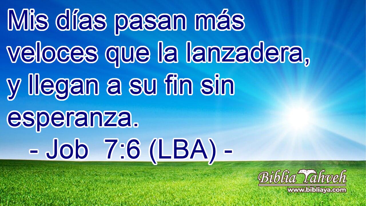 Mis días pasan más veloces que la lanzadera, y llegan a su fin sin esperanza.
