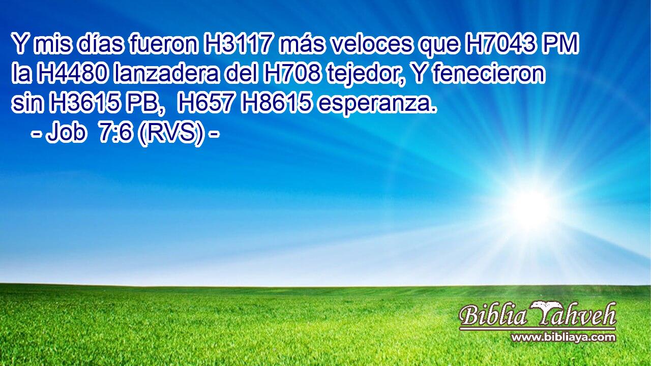 Y mis días fueron H3117 más veloces que H7043 PM la H4480 lanzadera del H708 tejedor, Y fenecieron sin H3615 PB,  H657 H8615 esperanza. 