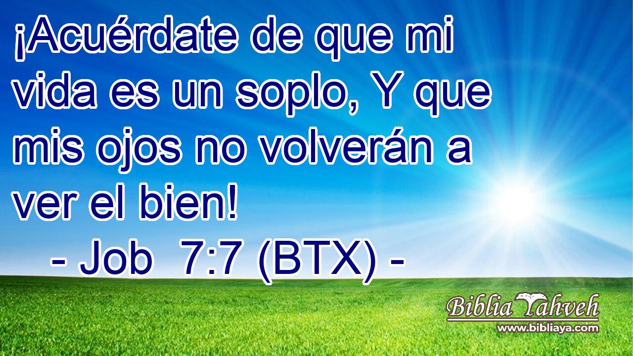 ¡Acuérdate de que mi vida es un soplo, Y que mis ojos no volverán a ver el bien!