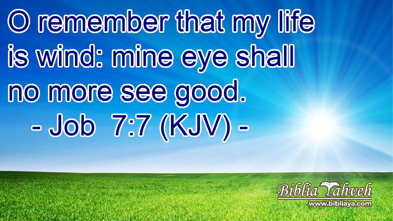 O remember that my life is wind: mine eye shall no more see good.